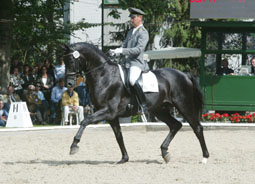 Dressage